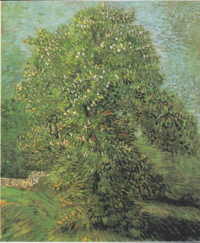 Blooming Chestnut Tree by Vincent van Gogh